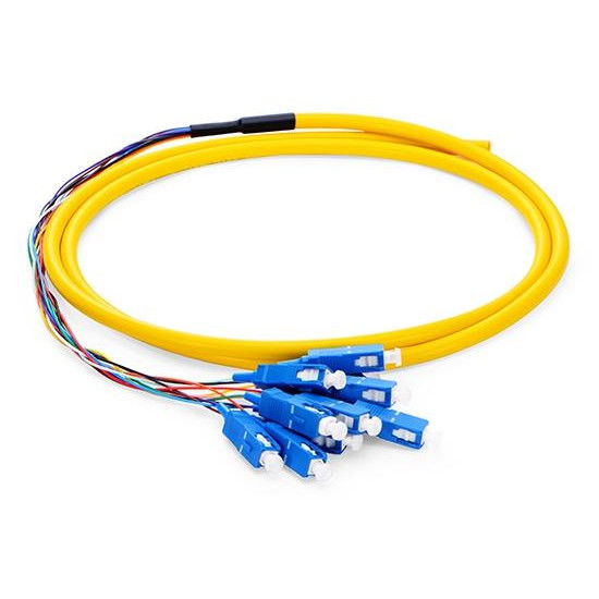 SC UPC 12 Fibers G.652.D Single Mode Bunch PVC 0.9mm with Jacket Fiber Optic Patch Cord